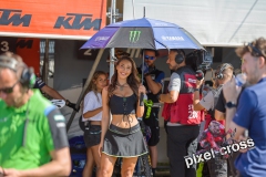 px_-24994